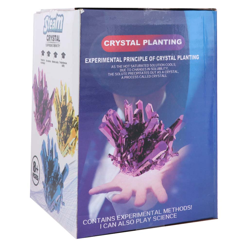 Grow a Crystal Crystal Growing - Science Experiment Kit 评论和价格